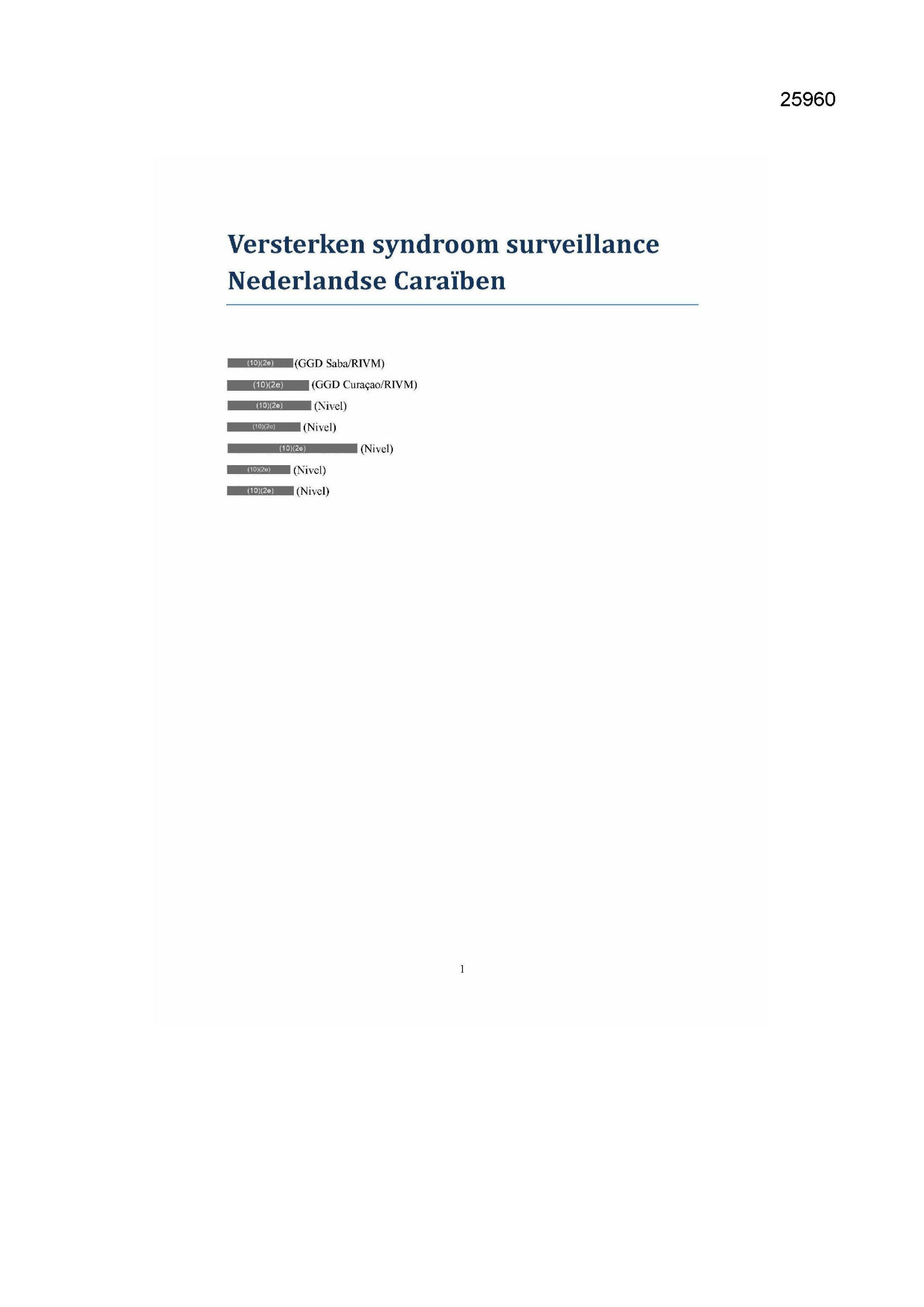 Pagina 1 preview