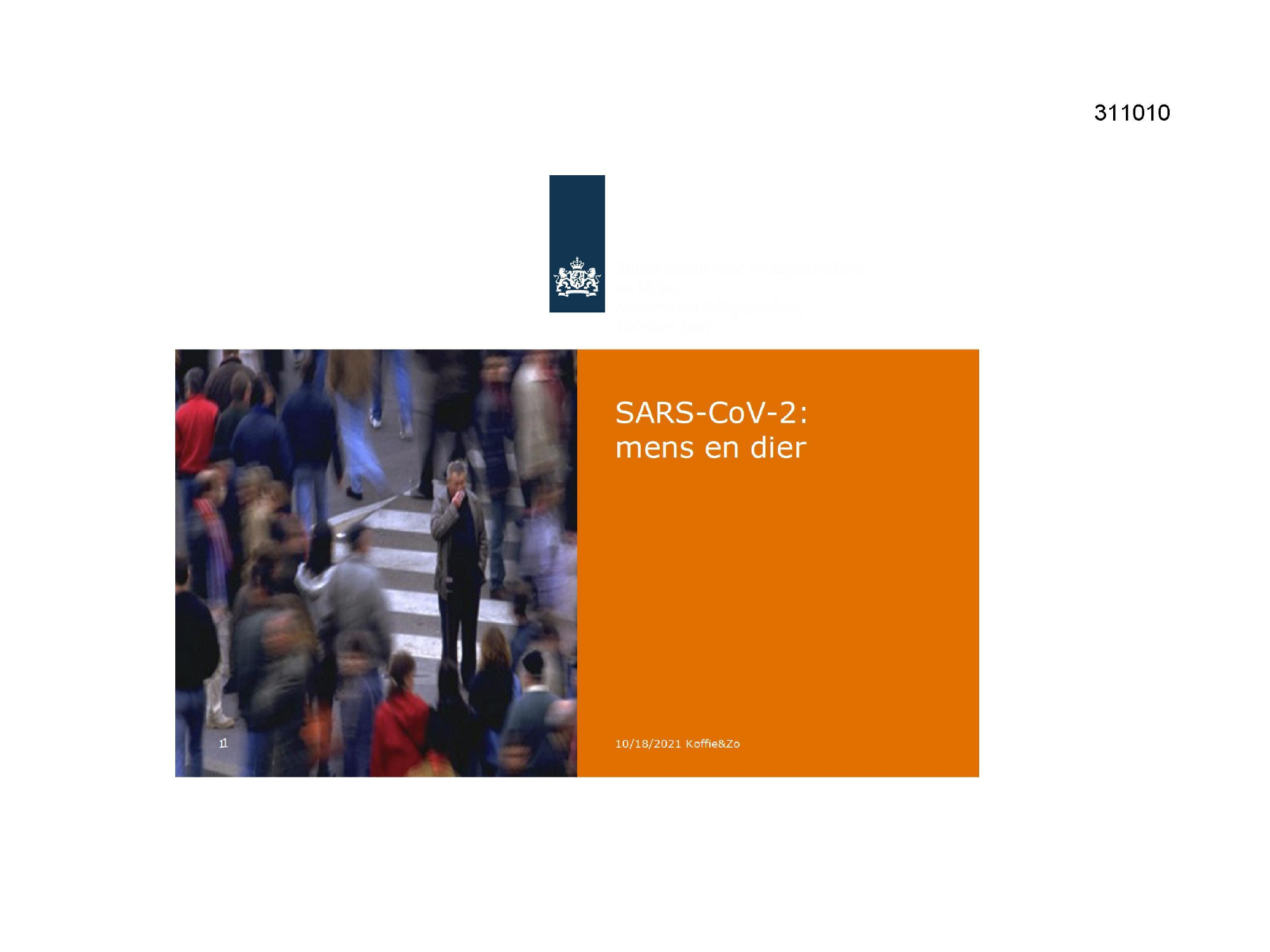 Pagina 1 preview