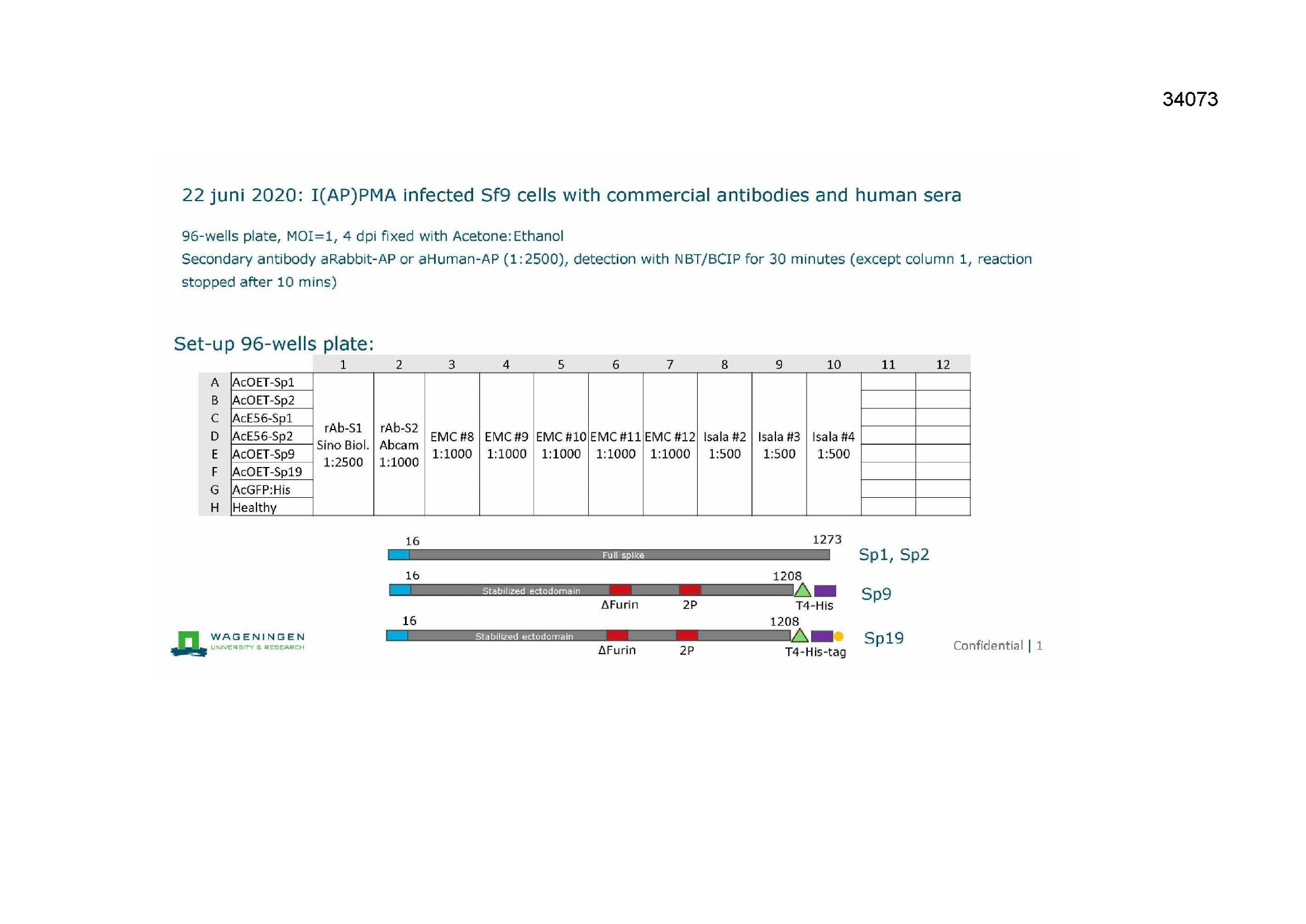 Pagina 1 preview